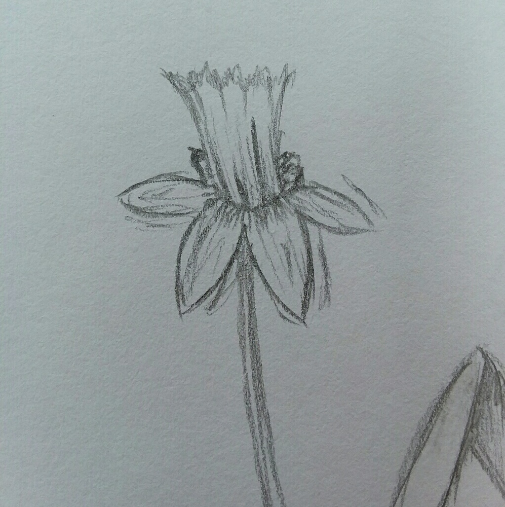 Meet your Posher, Anathe